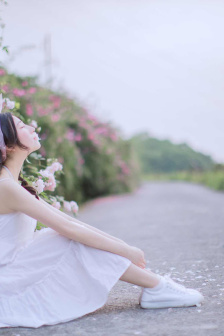 赘婿宁毅当上皇帝了吗